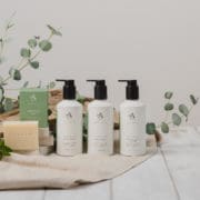 Arran sense of Scotland