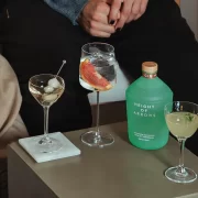 £5 cocktails Edinburgh Holyrood distillery