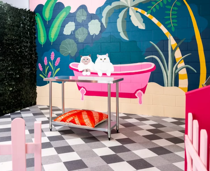 PURR Glasgow cat grooming salon