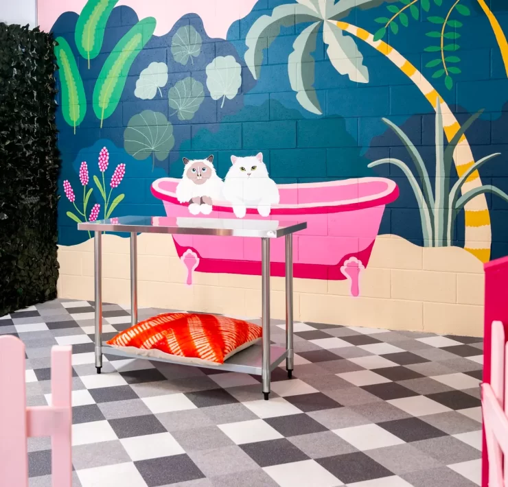 PURR Glasgow cat grooming salon