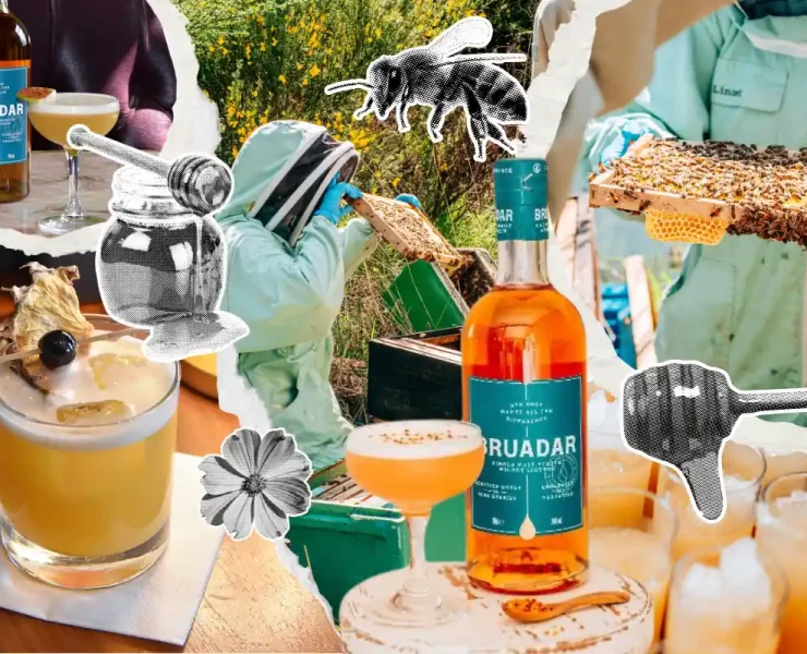 Collage of Bruadar whisky bottles, honey-themed cocktails, and beekeepers harvesting honey at Aberargie Distillery, featuring torn paper textures and halftone honey-themed graphics.