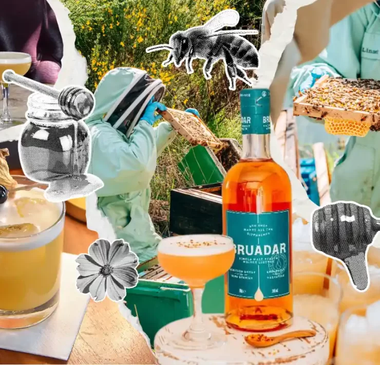 Collage of Bruadar whisky bottles, honey-themed cocktails, and beekeepers harvesting honey at Aberargie Distillery, featuring torn paper textures and halftone honey-themed graphics.