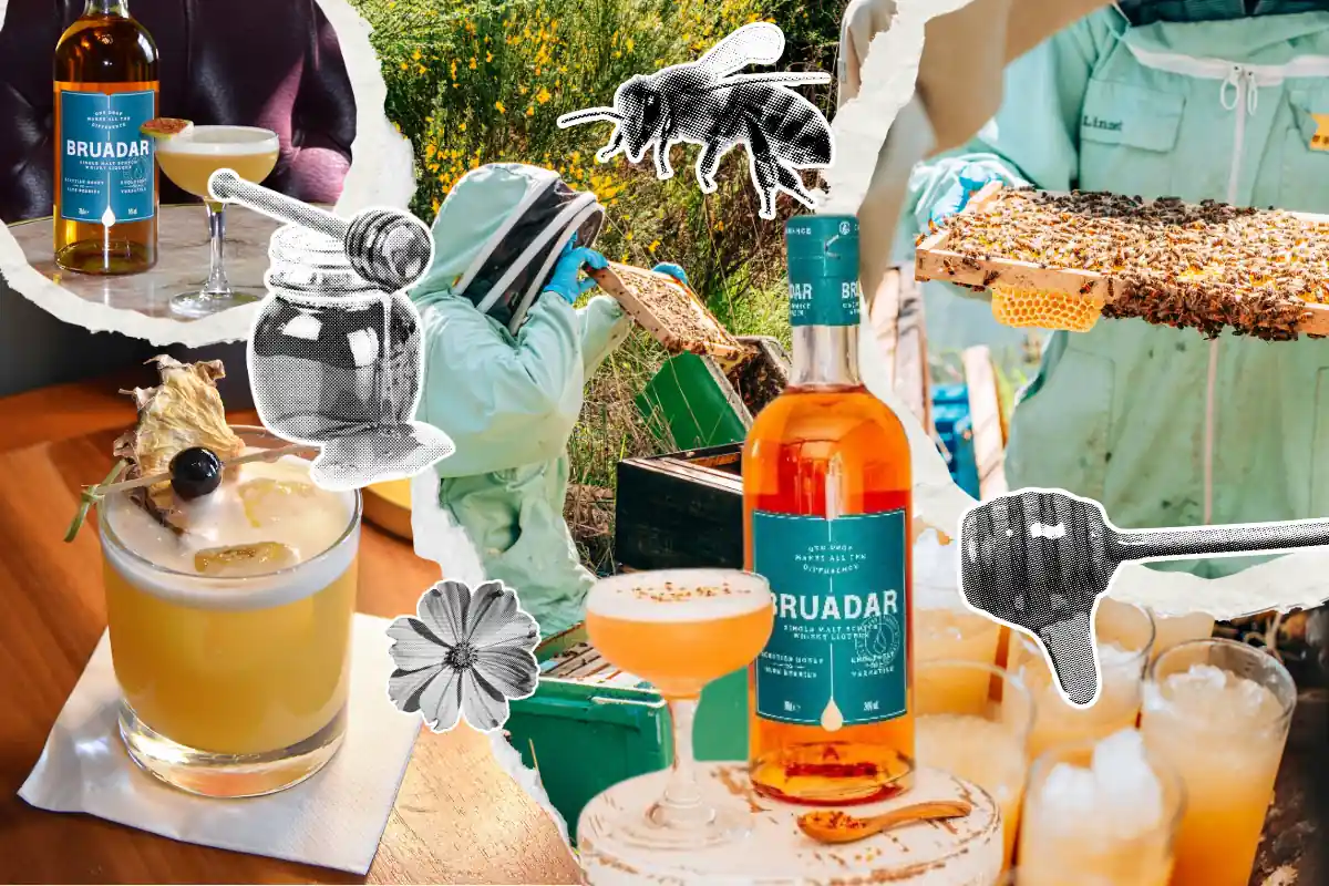 Collage of Bruadar whisky bottles, honey-themed cocktails, and beekeepers harvesting honey at Aberargie Distillery, featuring torn paper textures and halftone honey-themed graphics.