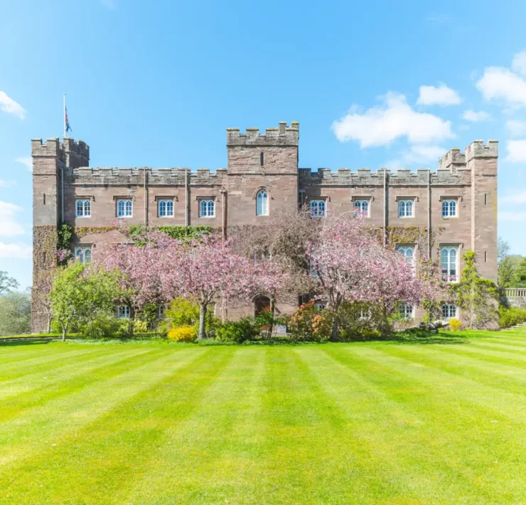 Wide shot of Scone Palace with pink cherry trees and striped green lawn under a clear blue Scottish sky
